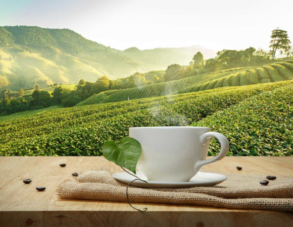 Ceasca de ceai inconjurata de frunze de ceai